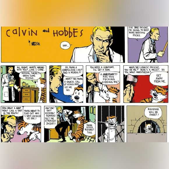Homicidal Psycho Jungle Cat: a Calvin and Hobbes Collection - Picture 4 of 7